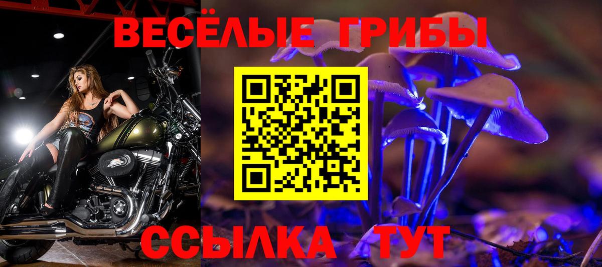 Ишимбай  Псилоцибиновые грибы мицелий  Вход с VPN 